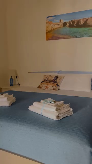 Video 1